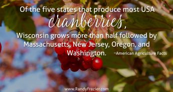 Ag Facts about Cranberries