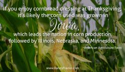 Ag Facts about Corn