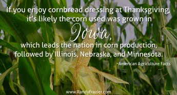 Ag Facts about Corn