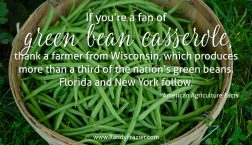 Ag Facts about Green Beans