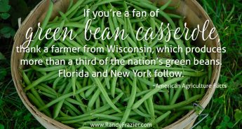 Ag Facts about Green Beans