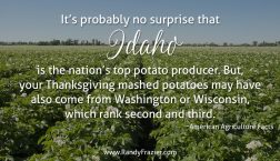 Ag Facts about Potatoes