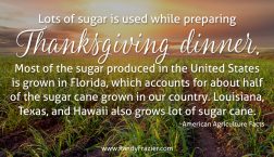 Ag Facts about Sugar