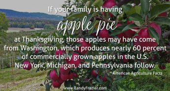 Ag Facts about Apples