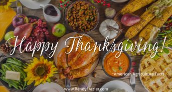 Happy Thanksgiving