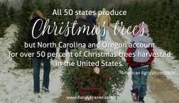 Ag Facts about Christmas Trees