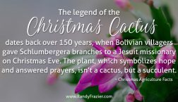 Ag Facts about the Christmas Cactus