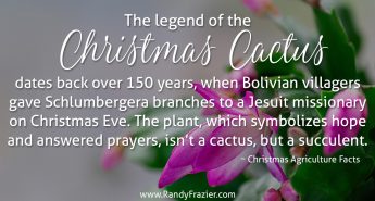 Ag Facts about the Christmas Cactus