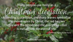 Ag Facts about Holly
