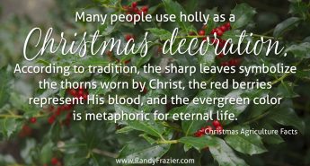 Ag Facts about Holly