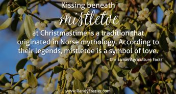 Christmas Ag Facts: Mistletoe