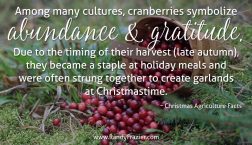 Christmas Ag Facts: Cranberries