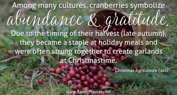 Christmas Ag Facts: Cranberries