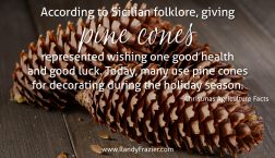Christmas Ag Facts: Pine Cones