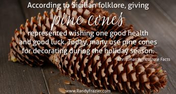 Christmas Ag Facts: Pine Cones
