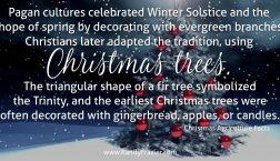 Christmas Ag Facts: Christmas Trees