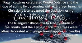 Christmas Ag Facts: Christmas Trees