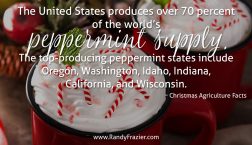 Christmas Ag Facts: Peppermint
