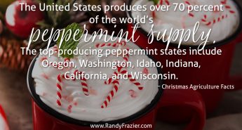 Christmas Ag Facts: Peppermint
