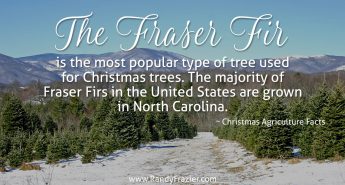 Christmas Ag Facts: Fraser Firs