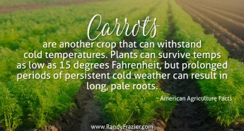 Ag Facts about Carrots