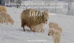 Roy Bean Quote