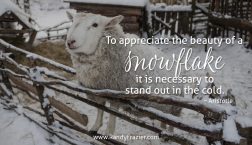 Aristotle Quote