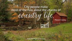 Mason Cooley Quote