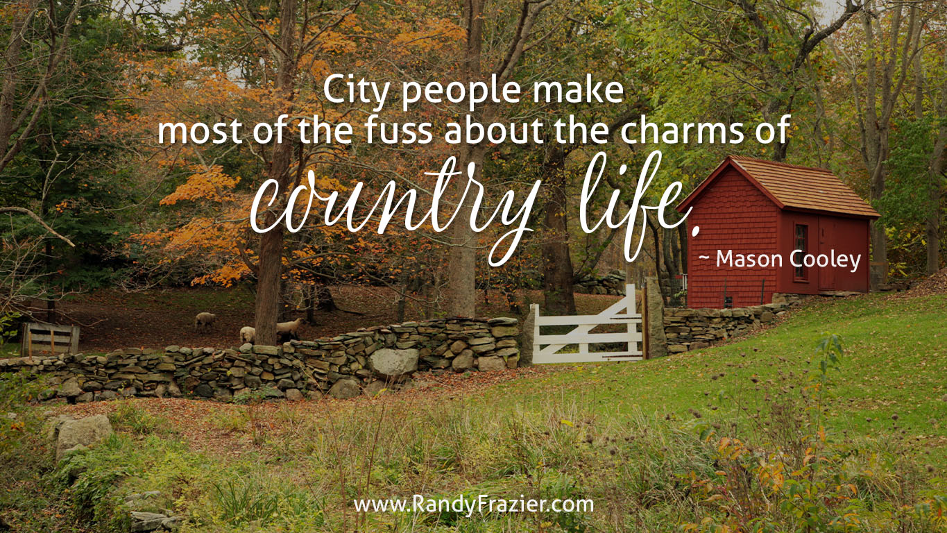 Mason Cooley Quote