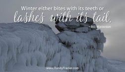 Bill Watterson Quote