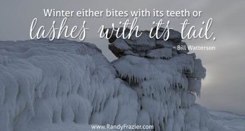 Bill Watterson Quote