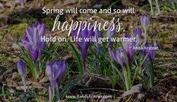 Anita Kirzzan Quote