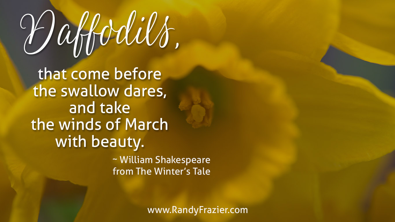 William Shakespeare Quote