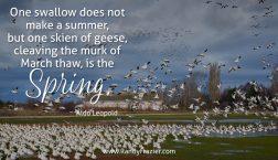 Aldo Leopold Quote