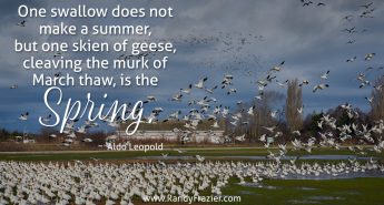Aldo Leopold Quote