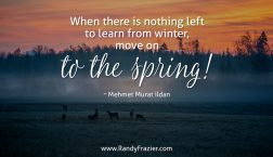 Mehmet Murat ildan Quote