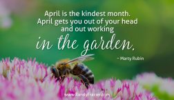 Marty Rubin Quote