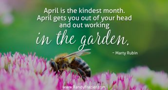 Marty Rubin Quote