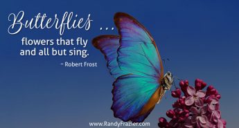 Robert Frost Quote