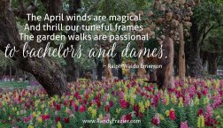 Ralph Waldo Emerson Quote