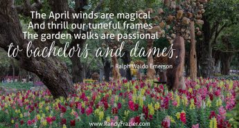 Ralph Waldo Emerson Quote
