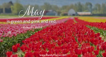Richard L. Ratliff Quote