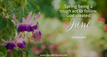 Al Bernstein Quote