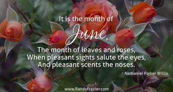 Nathaniel Parker Willis Quote