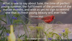 Gertrude Jekyll Quote