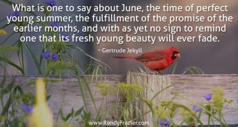 Gertrude Jekyll Quote