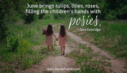 Sara Coleridge Quote