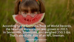 Record Watermelon