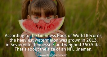 Record Watermelon