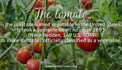 America's Favorite Vegetable